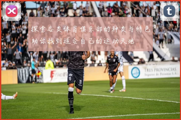 探索各类体育俱乐部的种类与特色助你找到适合自己的运动天地