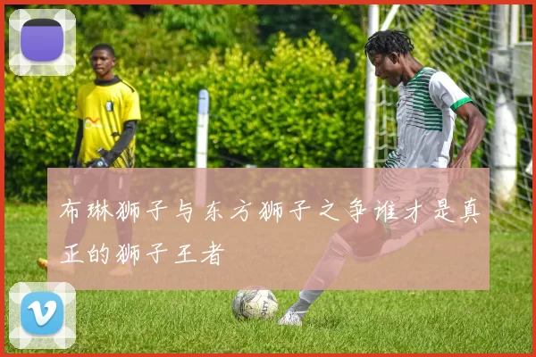 布琳狮子与东方狮子之争谁才是真正的狮子王者